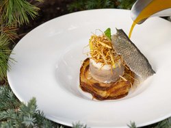 Hotel Latemar mit Dolomitenblick Feines Gericht mit Fisch, knuspriger Haut und dazu Sauce