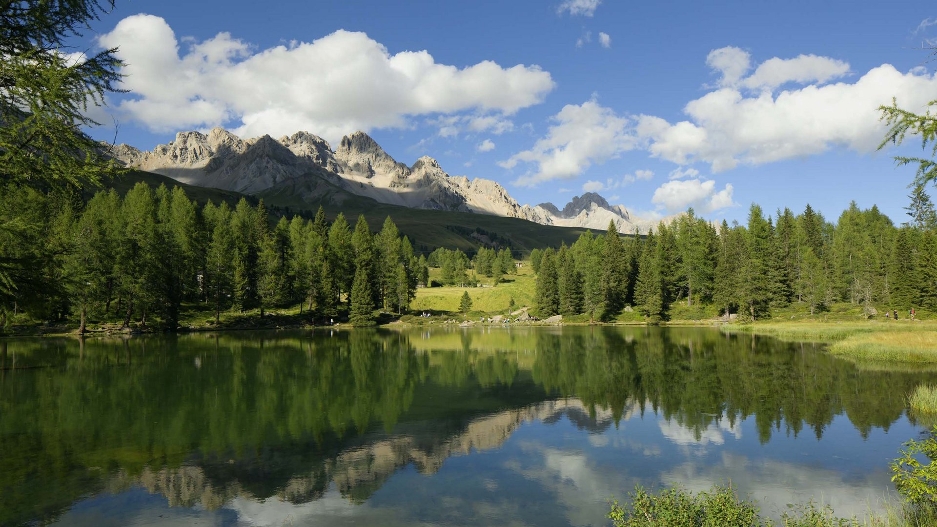 Soraga di Fassa: Urlaub in und mit der Natur Ruhiger Alpensee mit Spiegelung von Bäumen und sonnigen Bergen