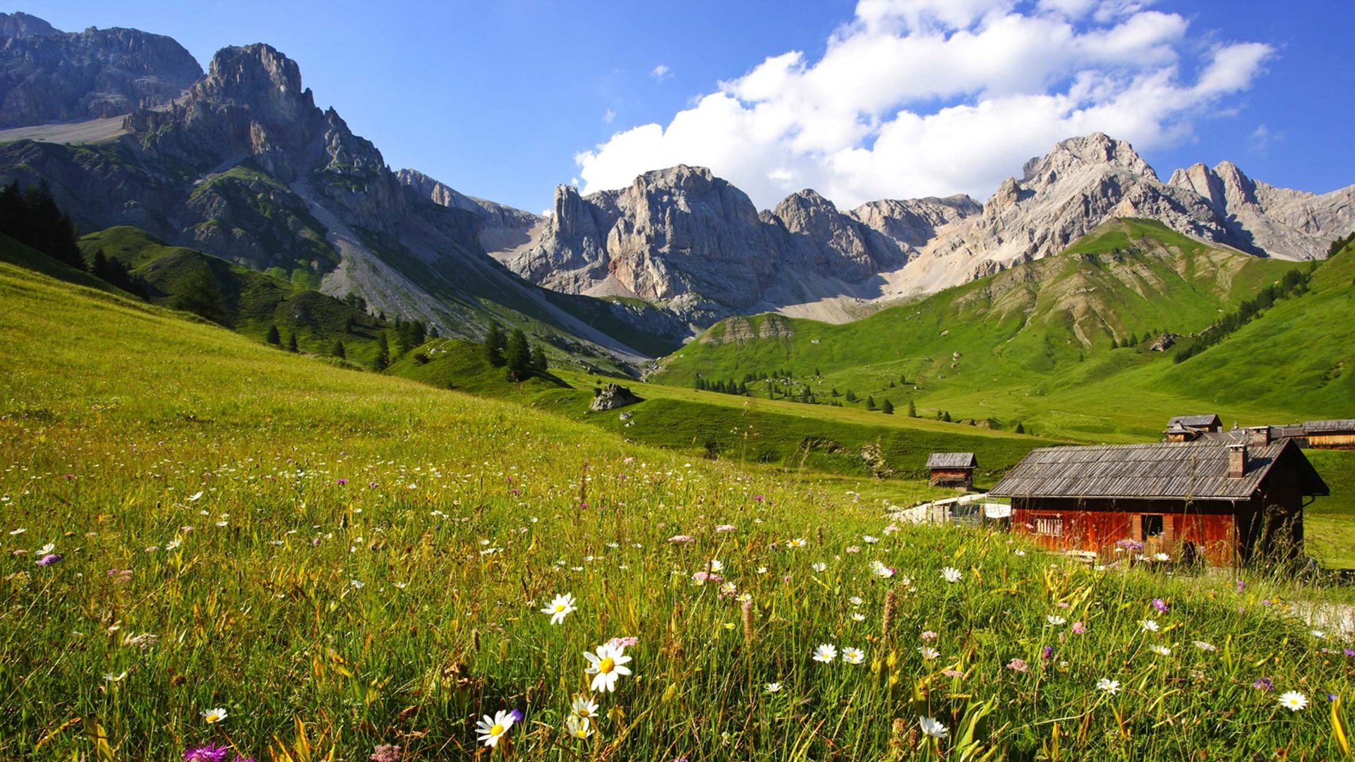 Fassatal Skigebiet Pistenplan Blumenwiese mit Holzhäusern und Felsbergen unter blauem Himmel