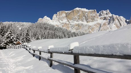 Meteo, Moena, Soraga, Latemar: tutto nella nostra gallery Sentiero innevato con recinzione e montagne innevate sullo sfondo