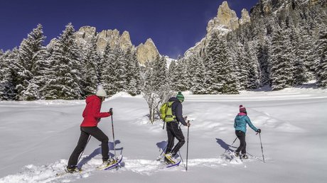 Meteo, Moena, Soraga, Latemar: tutto nella nostra gallery Tre persone fanno escursione con racchette da neve in montagna innevata