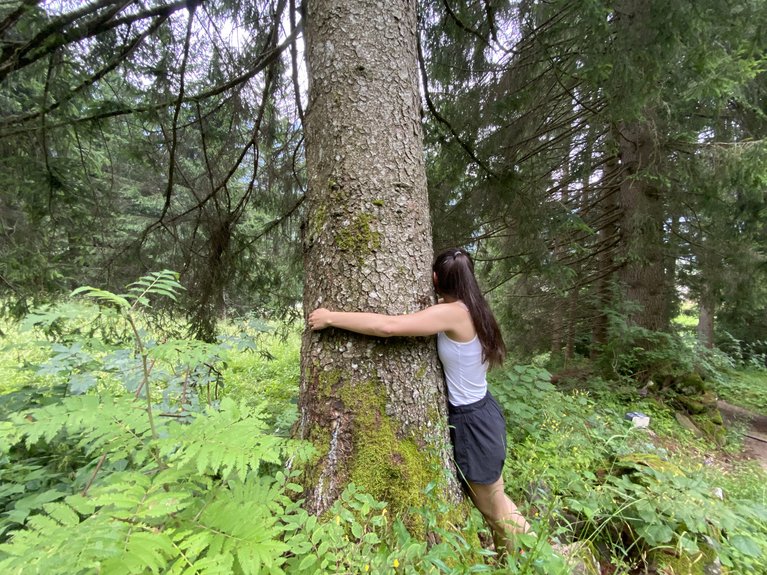 Hotel Latemar mit Dolomitenblick Frau umarmt einen großen Baum in einem grünen Wald