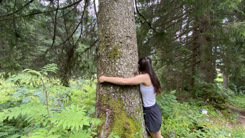 Val di Fassa: wandern, biken, erleben Frau umarmt einen großen Baum in einem grünen Wald