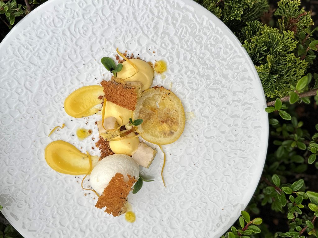 Per buongustai: l’hotel ideale vicino a Moena Dessert gourmet con crema, cialda e fetta di limone su piatto bianco