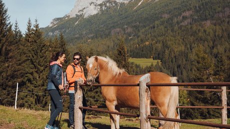 Picture gallery Two hikers talking to a horse near a mountain fence