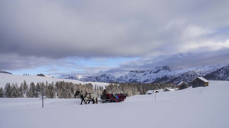 Meteo, Moena, Soraga, Latemar: tutto nella nostra gallery Slitta trainata da cavalli sulla neve in un paesaggio montano innevato