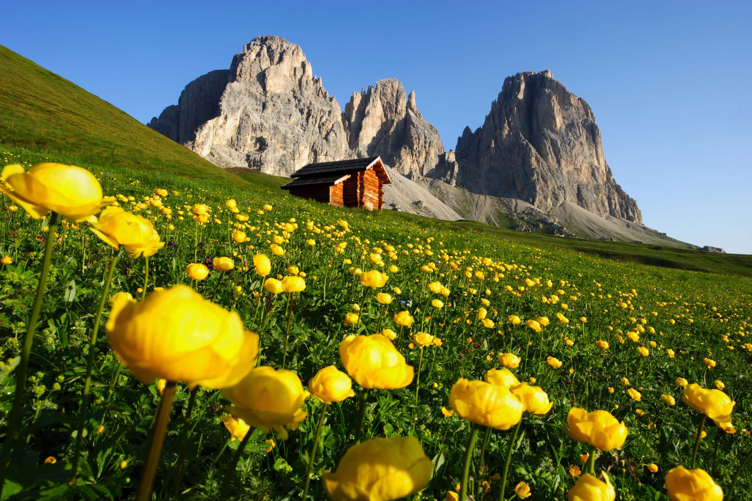 Estate in Val di Fassa, preceduta da una primavera da sogno